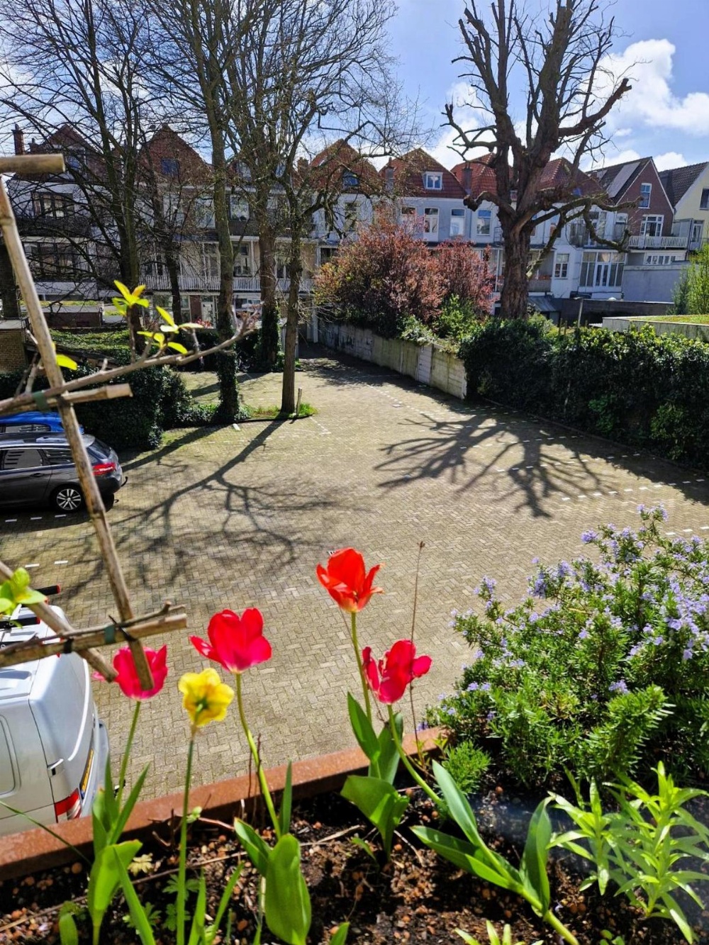 Court Garden Hotel - Ecodesigned Main image